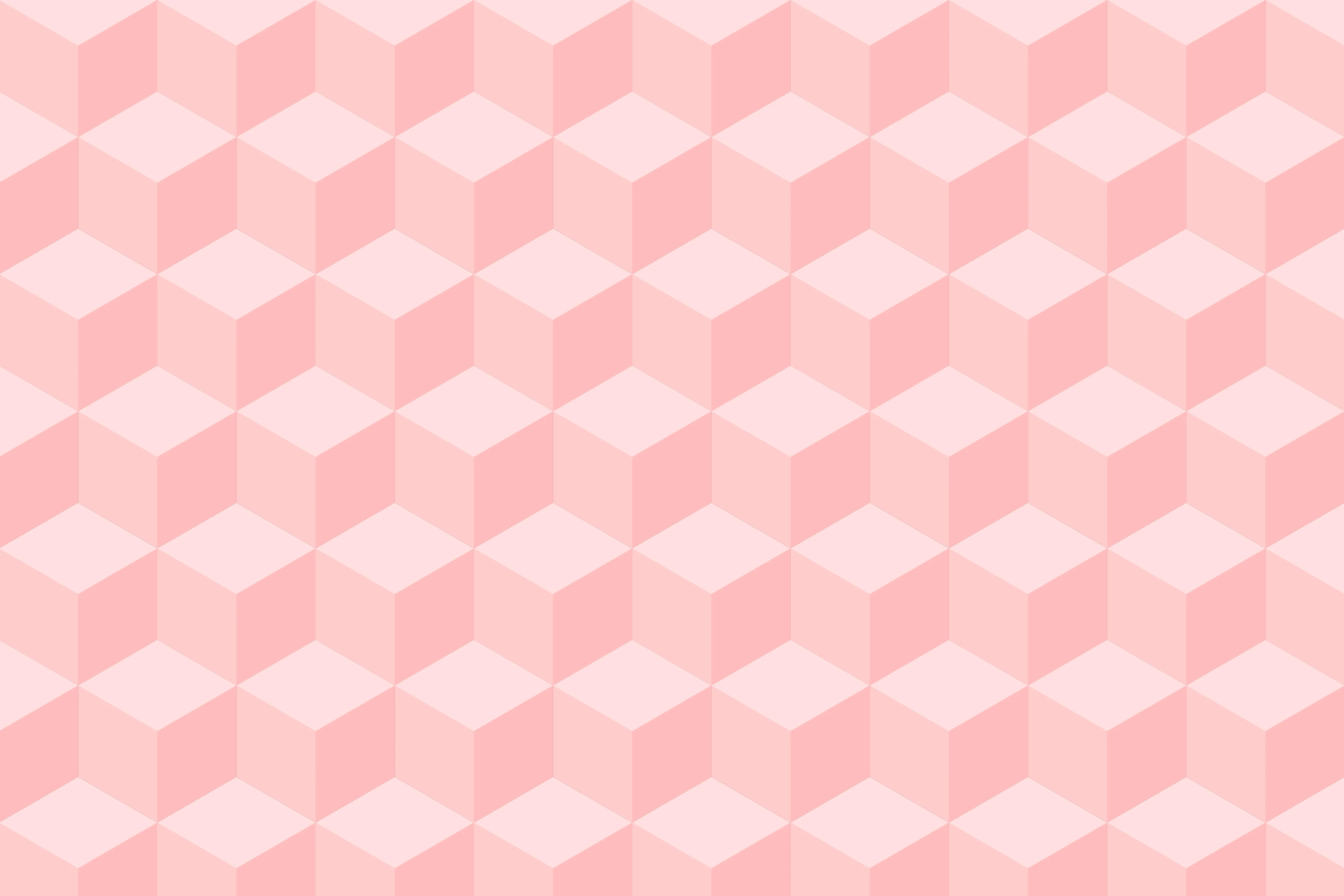 Mockup web Discarton