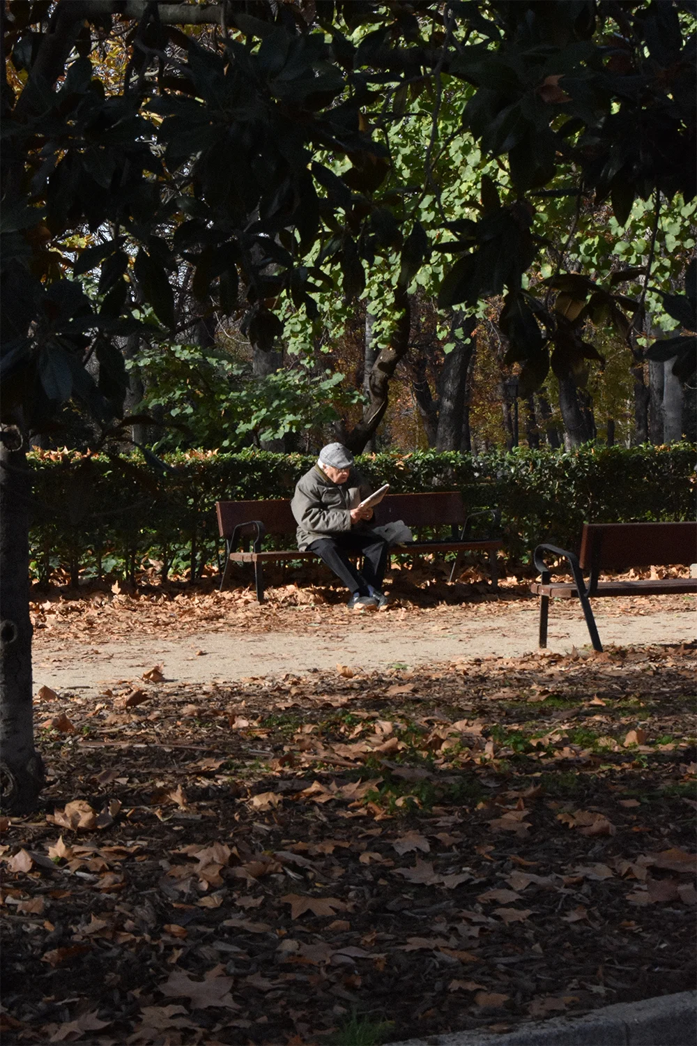 Señor leyendo el periódico en El Retiro