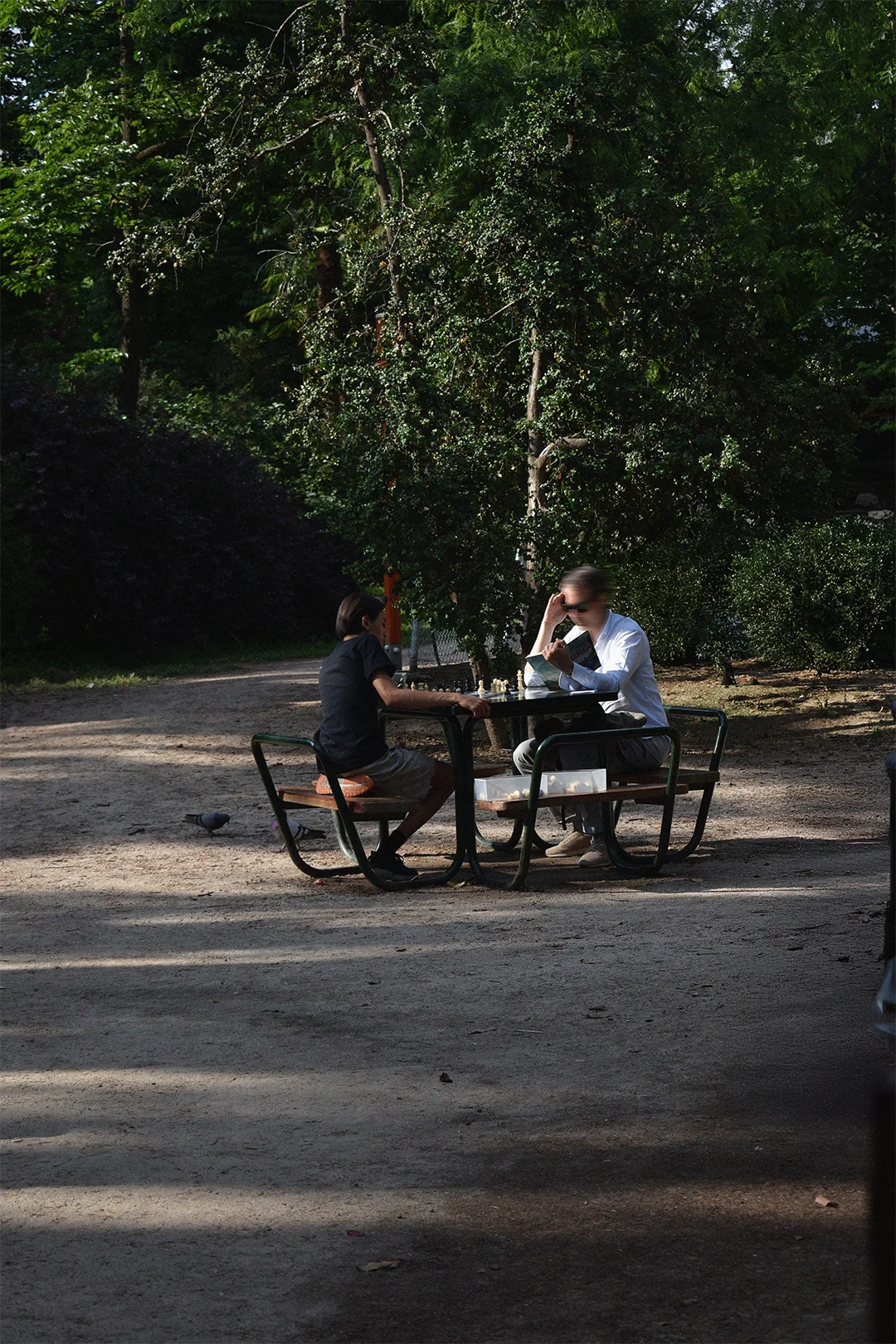 Ajedrez en el parque